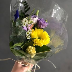 Meet your Posher, Alex